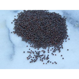 Mustard Seeds (Raayaan) - 100 grms