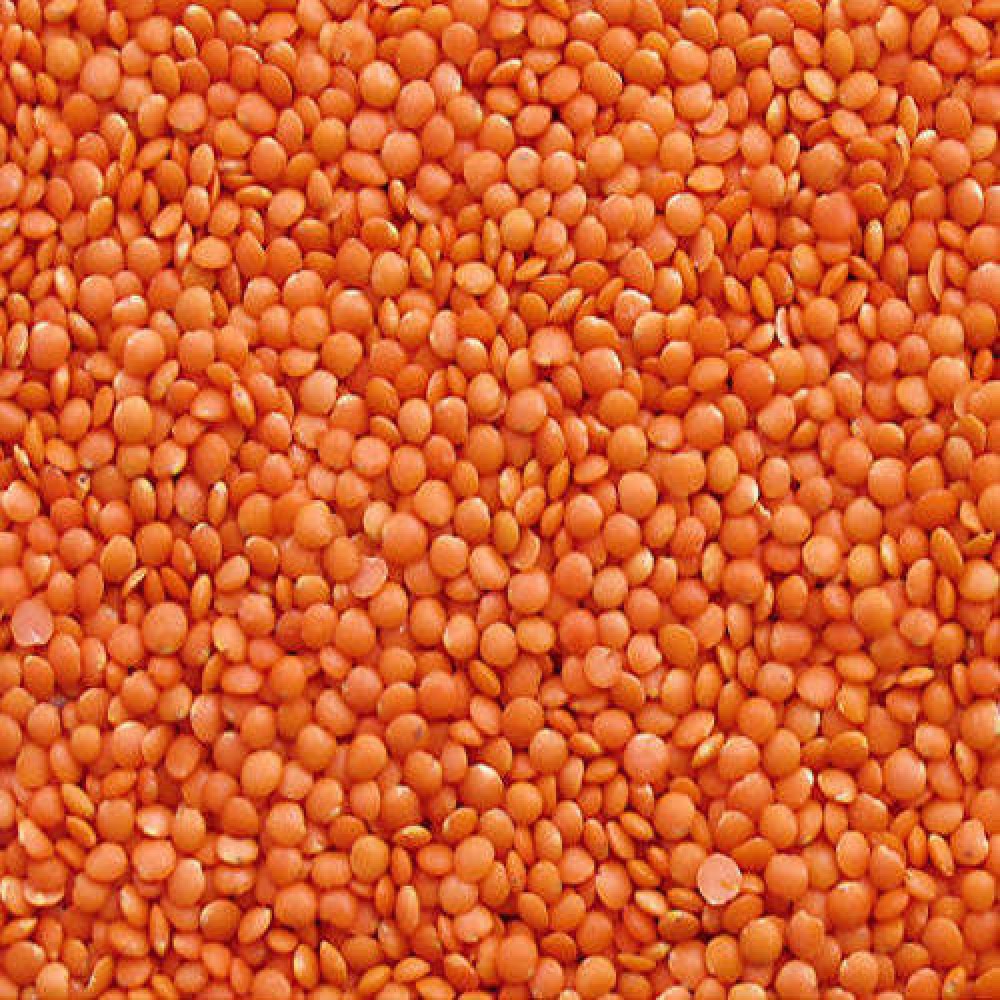 Masoor Daal  500g