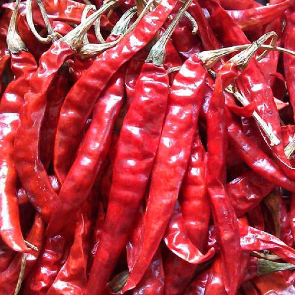 Dry Red Chilli - Shukhi mirchi - 1Kg