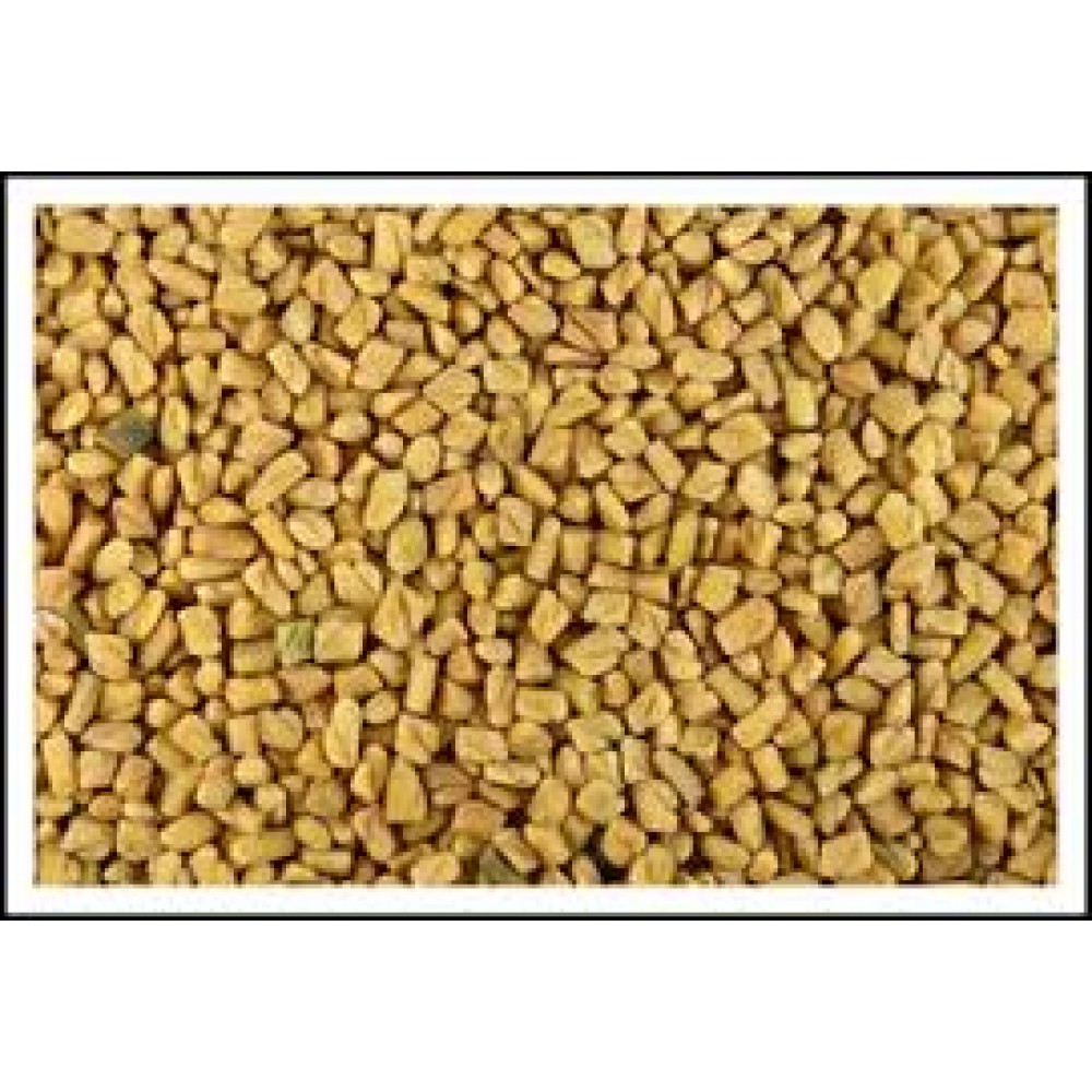 Methi FenuGreek 100g