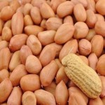 Peanut - 500 Gr