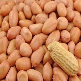 Peanut - 250 Gr